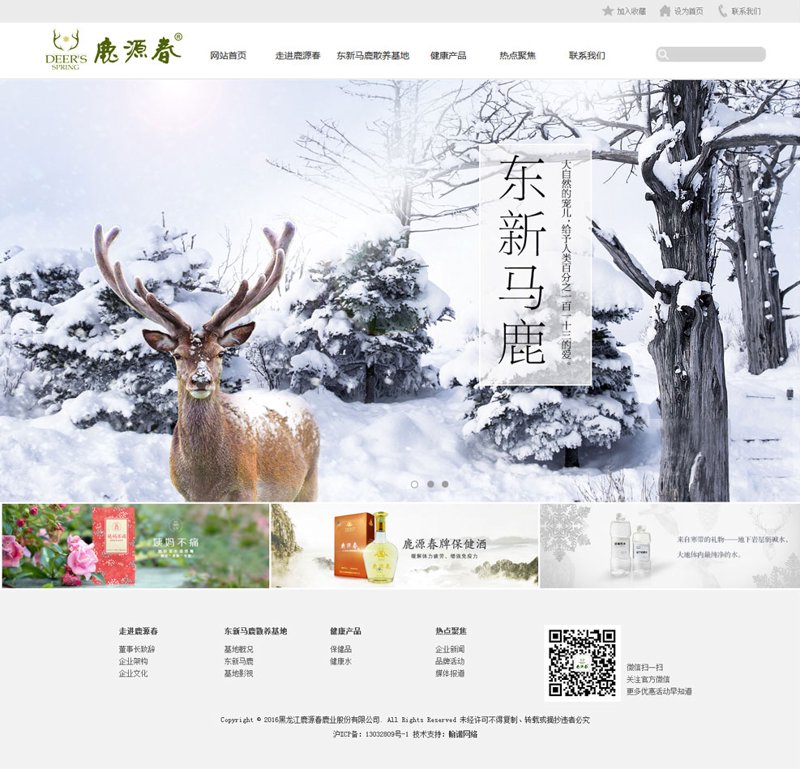 访谈记录:解读网站建设公司的选择之道